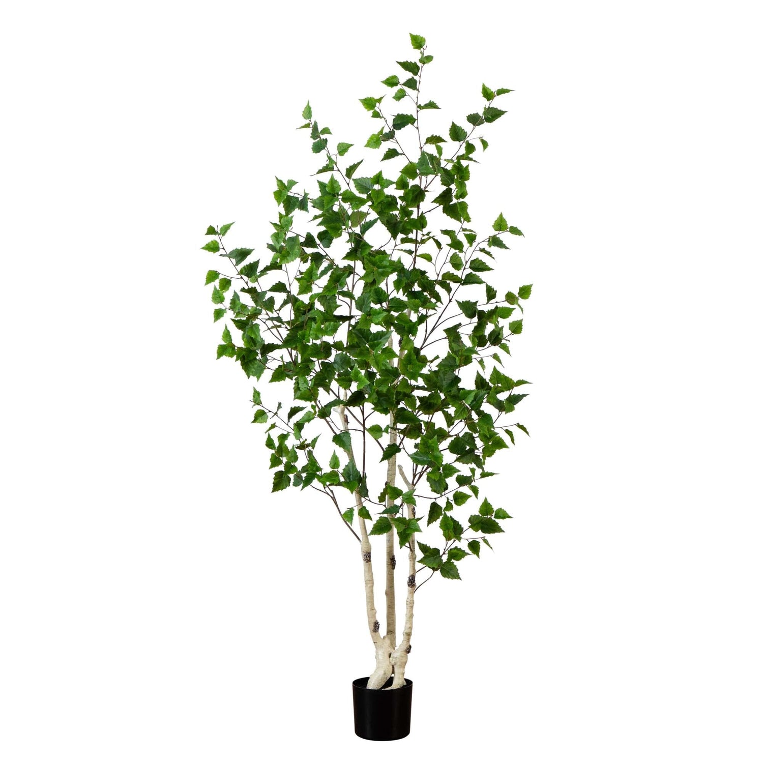 6’ Artificial Birch Tree with Real Touch Leaves