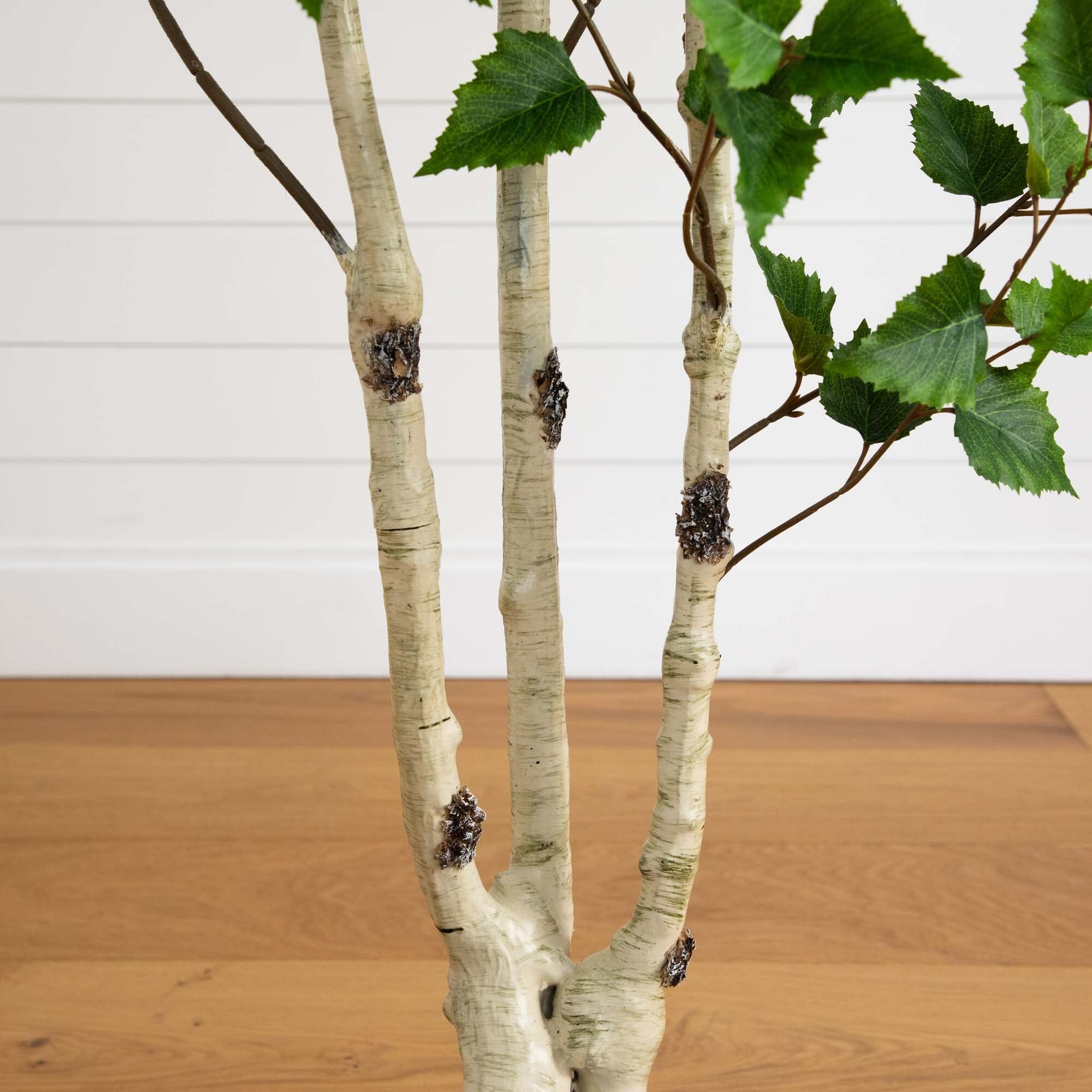 6' Artificial Birch Tree with Real Touch Leaves | Nearly Natural