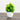 6” Artificial Cactus Plant in White Round Pot - Set of 3