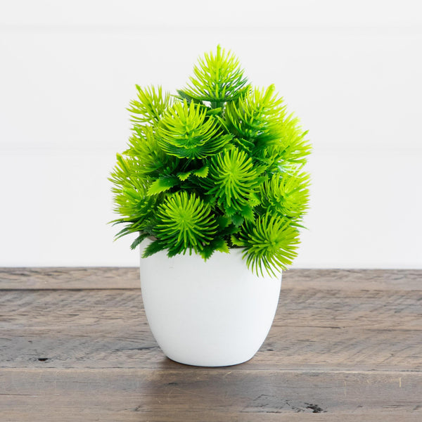 6” Artificial Cactus Plant in White Round Pot - Set of 3