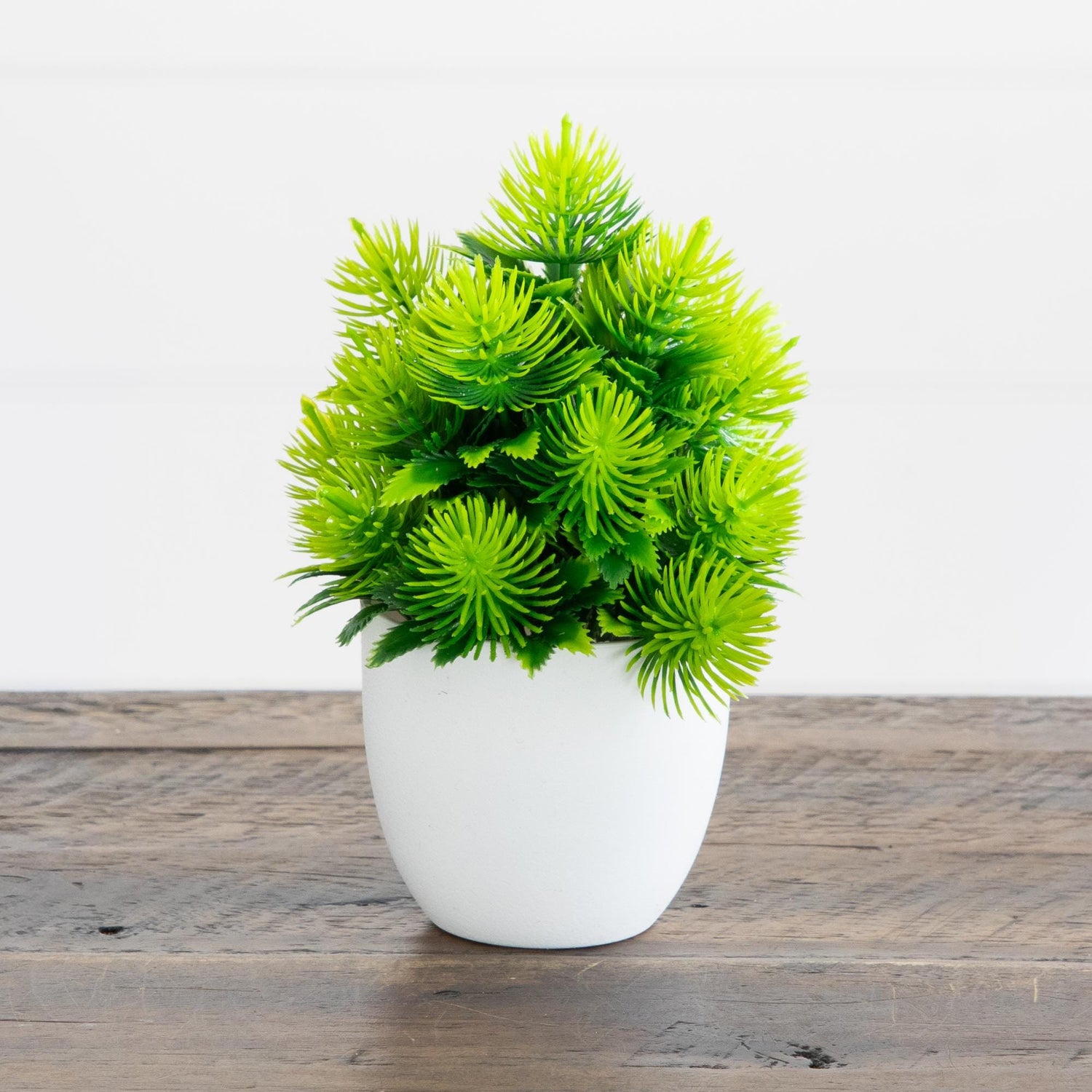 6” Artificial Cactus Plant in White Round Pot - Set of 3
