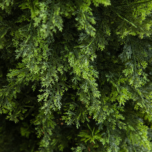 6’ Artificial Cedar Christmas Tree