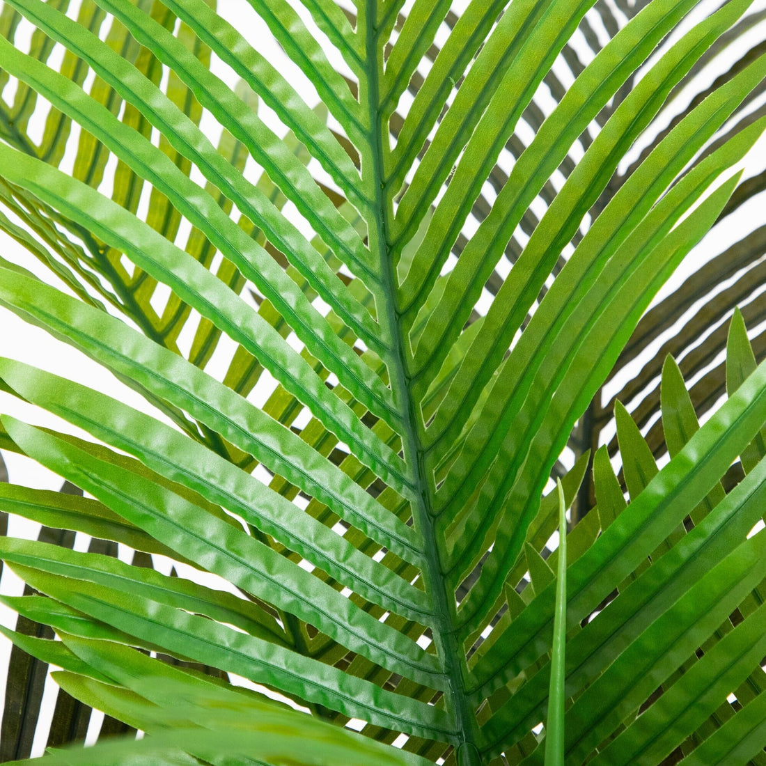 6' Artificial Coconut Palm Tree | Nearly Natural