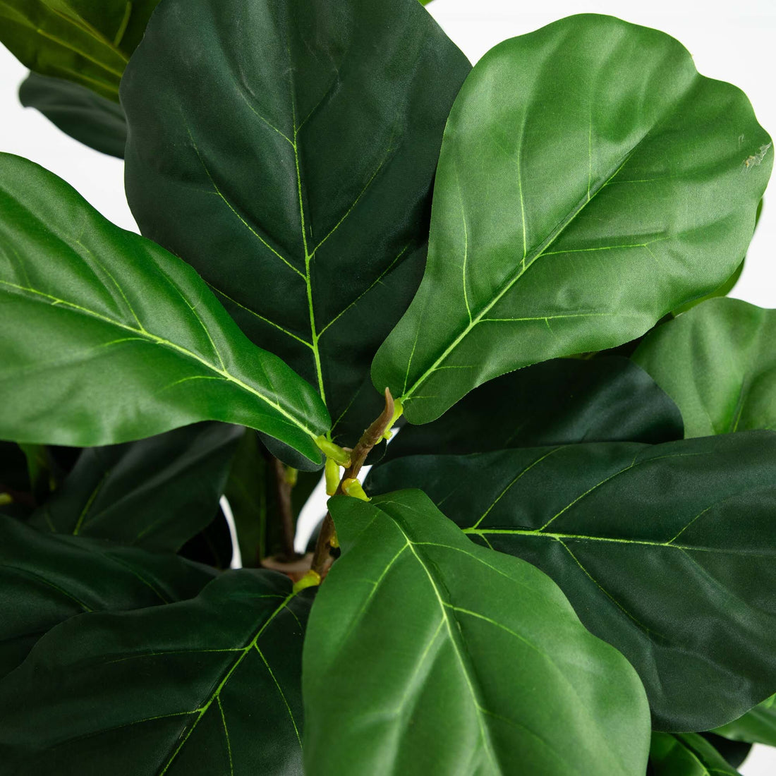 nearly natural 6' fiddle leaf fig tree 6' Fiddle Leaf Fig Artificial Tree