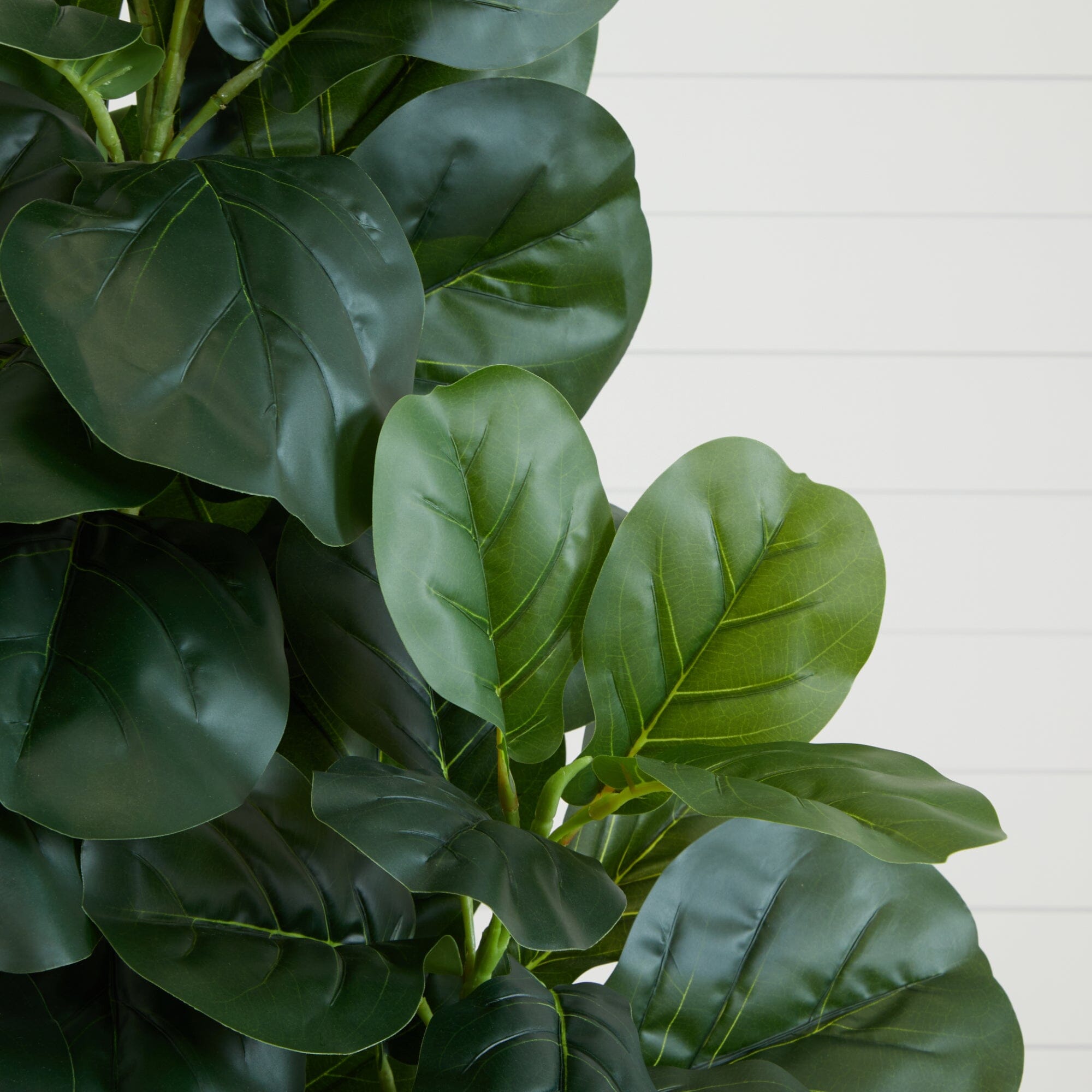 6' Fiddle Leaf Fig Artificial Tree | Nearly Natural