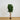 6’ Artificial Fiddle Leaf Fig Tree
