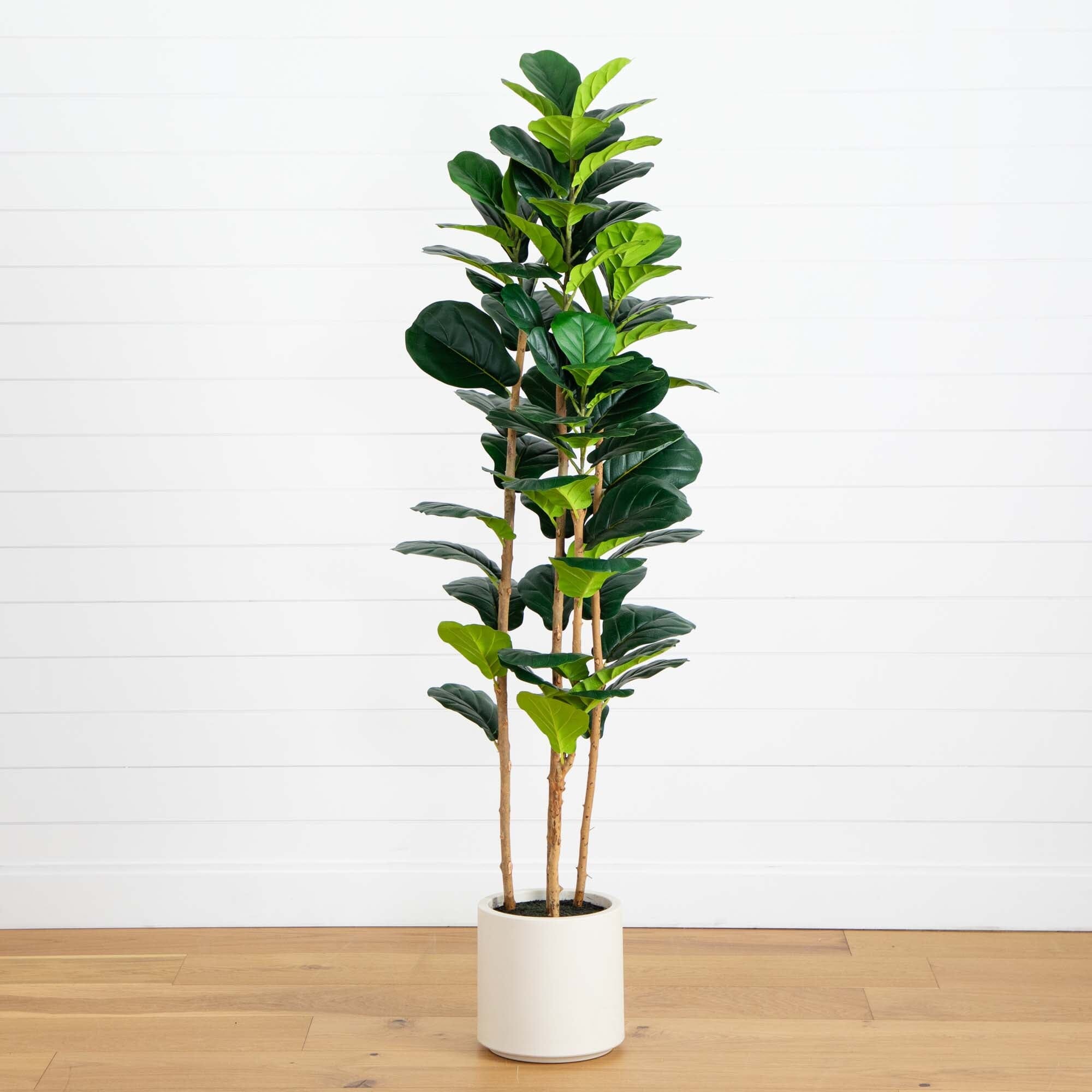 6’ Artificial Fiddle Leaf Tree in Decorative White Planter | Nearly Natural