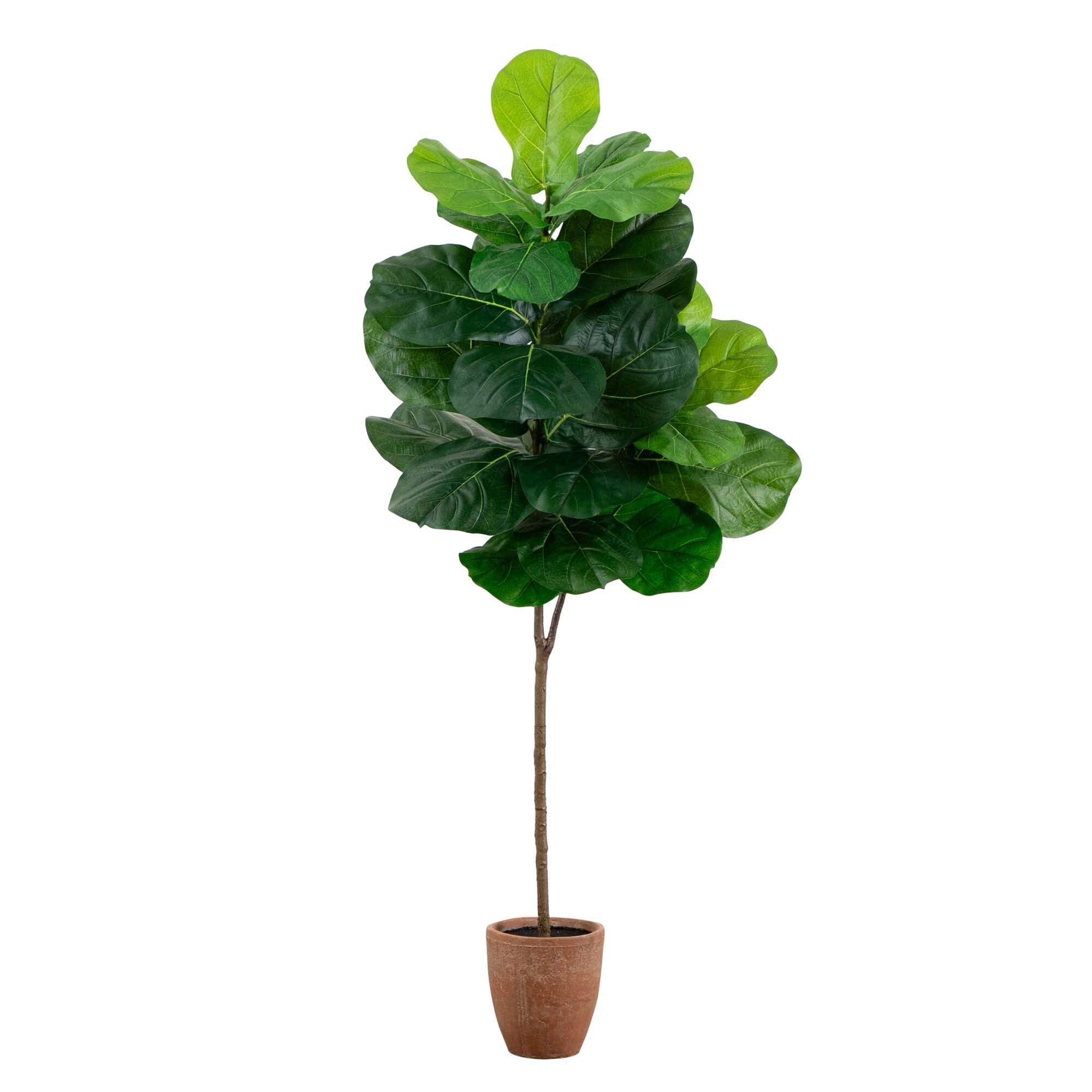 6' Artificial Giant Leaf Fiddle Leaf Fig Tree in Decorative