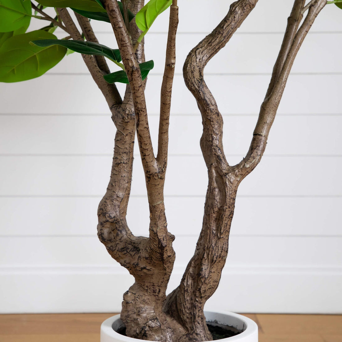 audrey ficus tree for sale Nearly Natural 6-Foot Artificial Audrey Ficus Leaf Tree in White Decorative Planter, Green