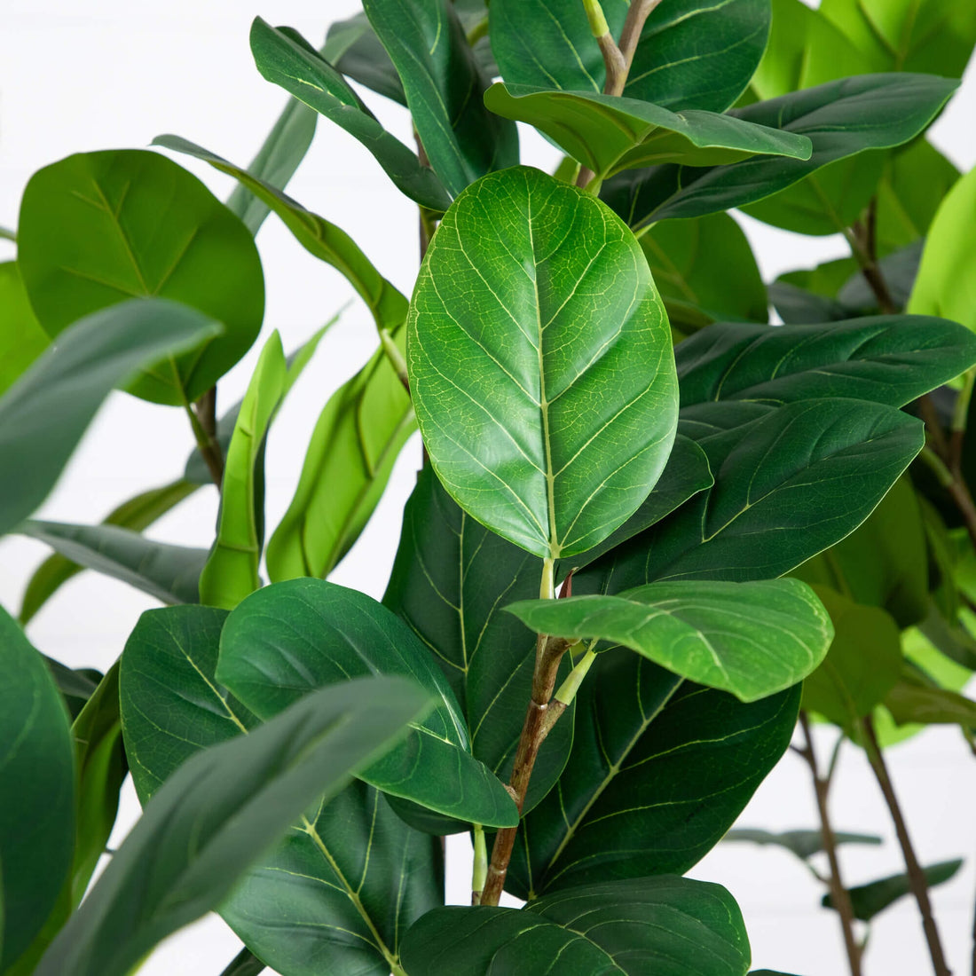 Nearly Natural 6-Foot Artificial Audrey Ficus Leaf Tree in White Decorative Planter, Green