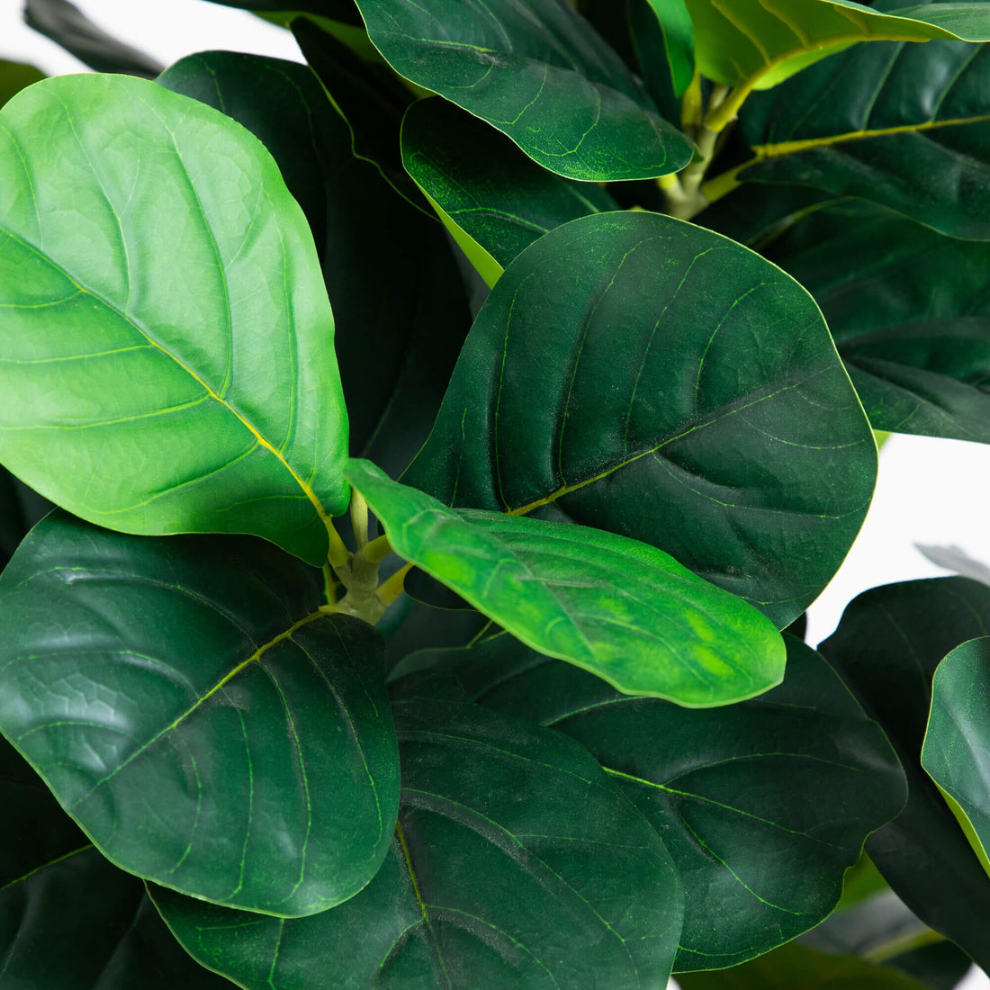 nearly natural 6' fiddle leaf fig tree Nearly Natural 6ft. Artificial Grand Fiddle Leaf Tree in White Decorative Planter