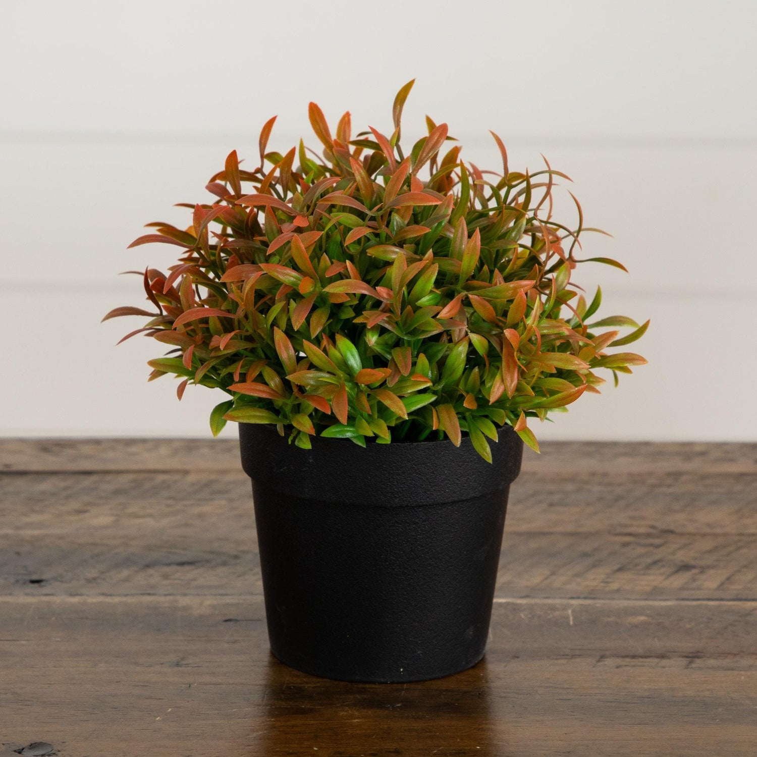 6” Artificial Grass Plant in Black Pot - Set of 2
