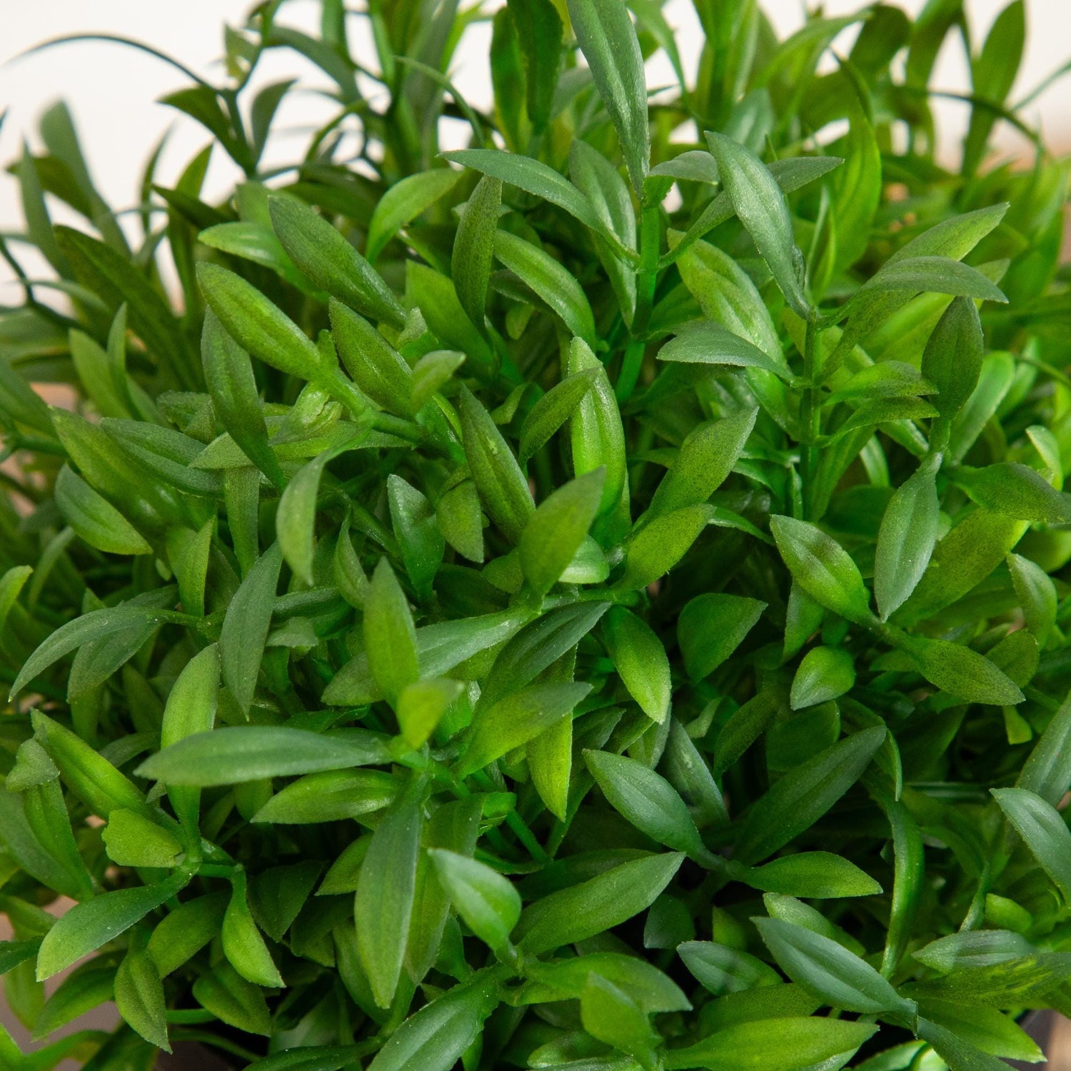 6” Artificial Grass Plant in Black Pot - Set of 2