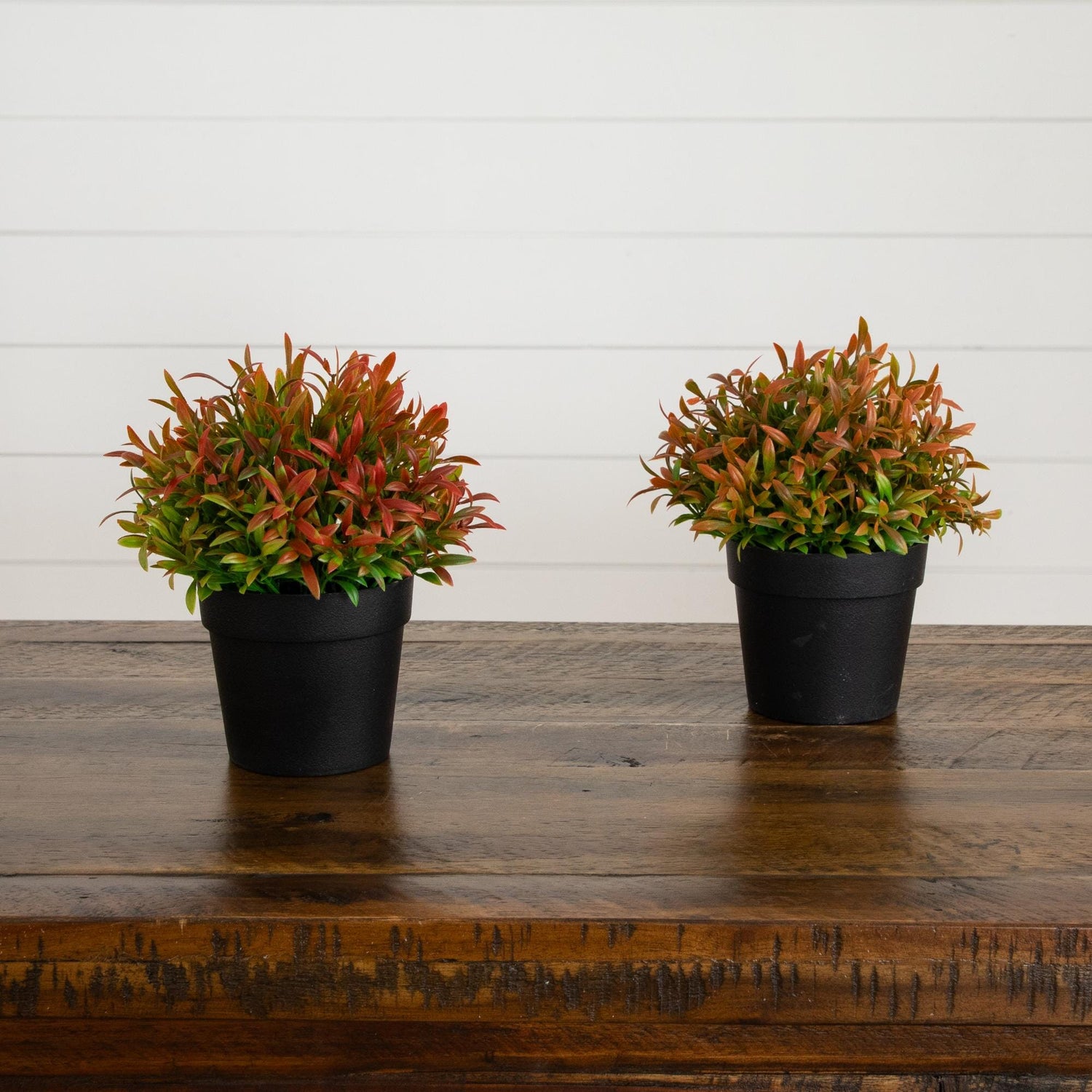 6” Artificial Grass Plant in Black Pot - Set of 2