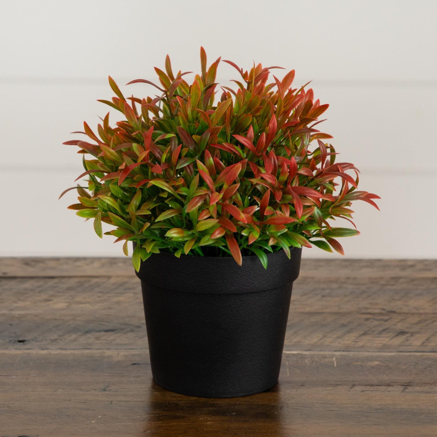 6” Artificial Grass Plant in Black Pot - Set of 2