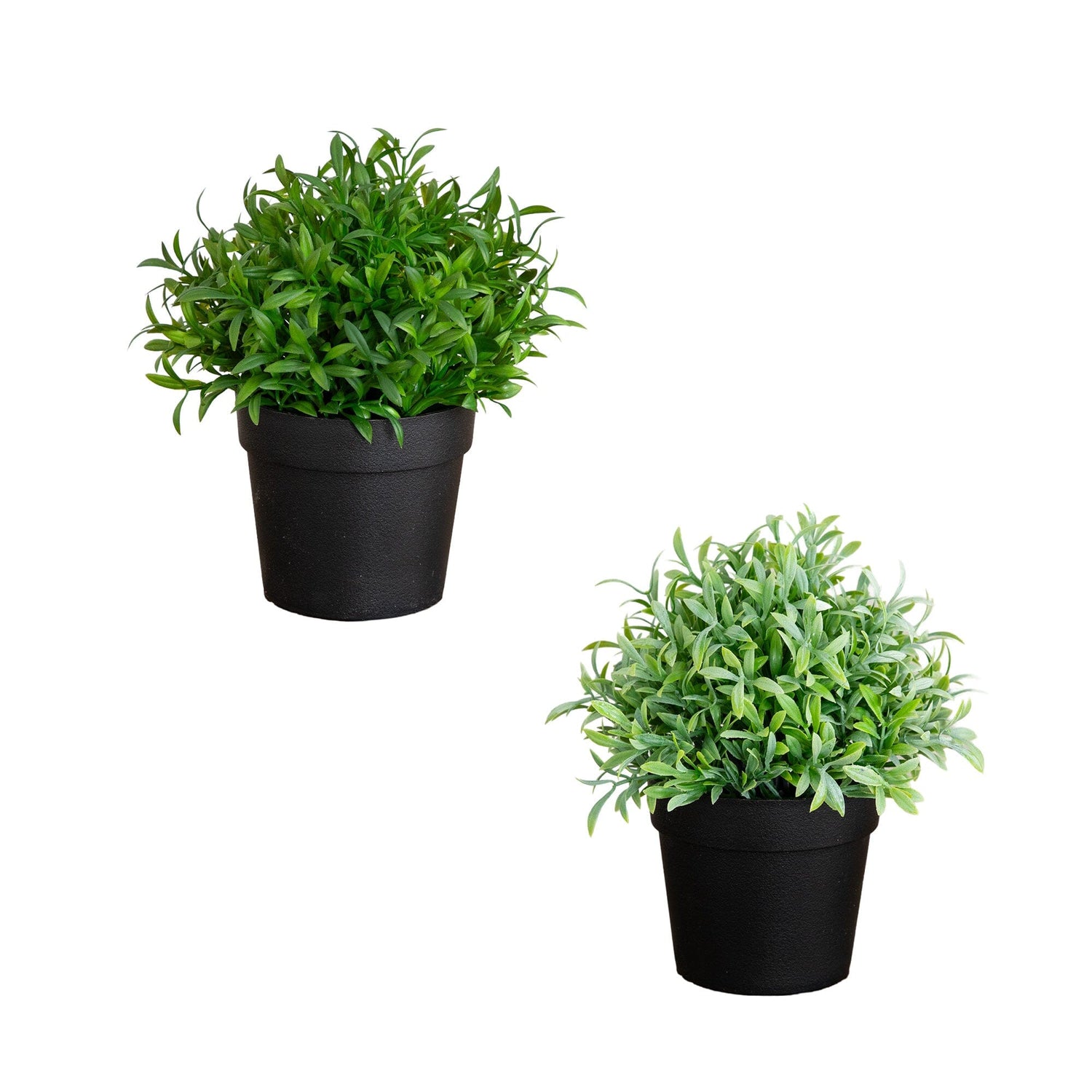 6” Artificial Grass Plant in Black Pot - Set of 2