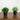 6” Artificial Grass Plant in Black Pot - Set of 2