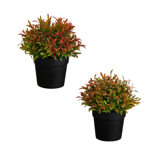 6” Artificial Grass Plant in Black Pot - Set of 2