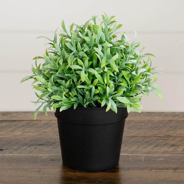 6” Artificial Grass Plant in Black Pot - Set of 2