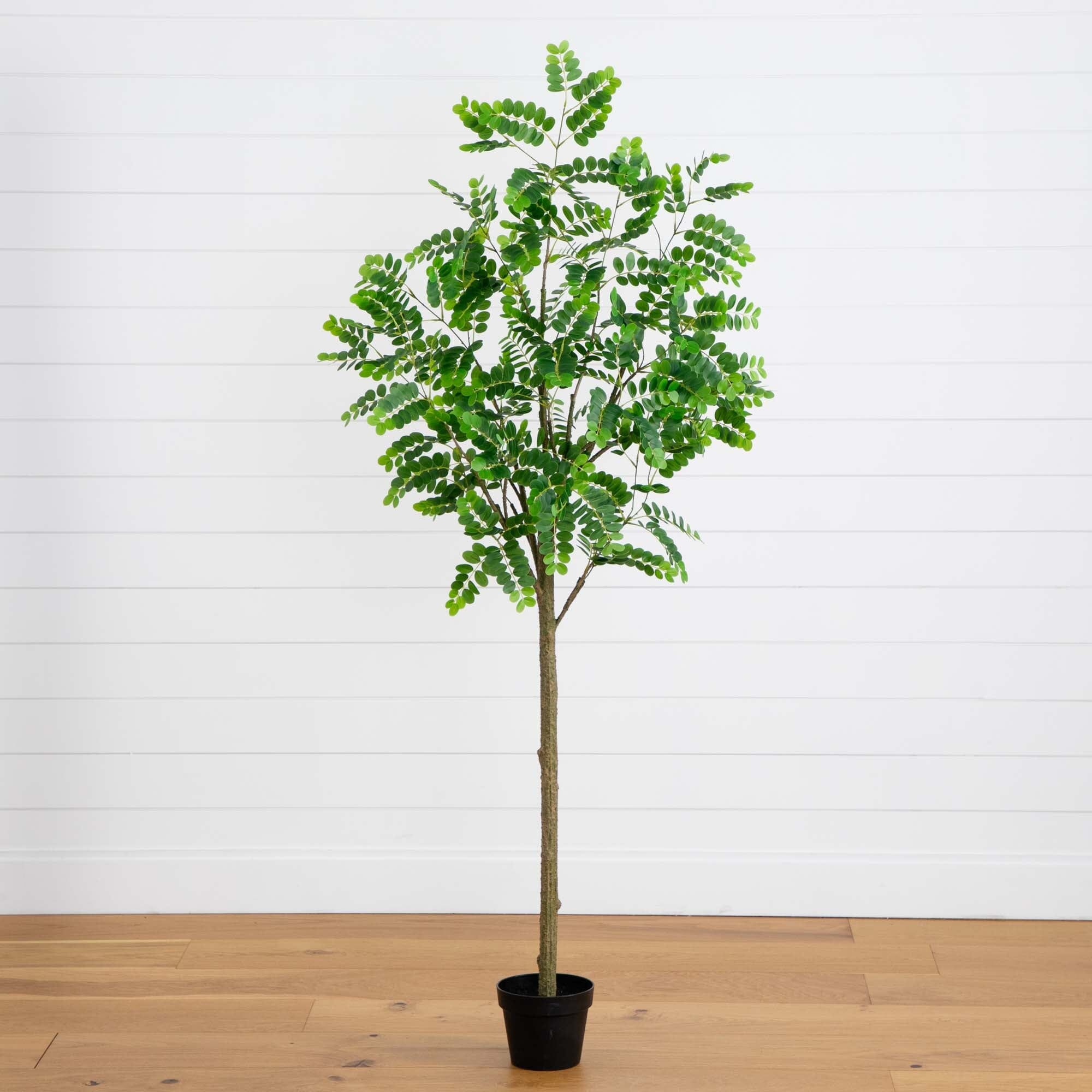 6' Artificial Greco Citrus Tree with Real Touch Leaves | Nearly