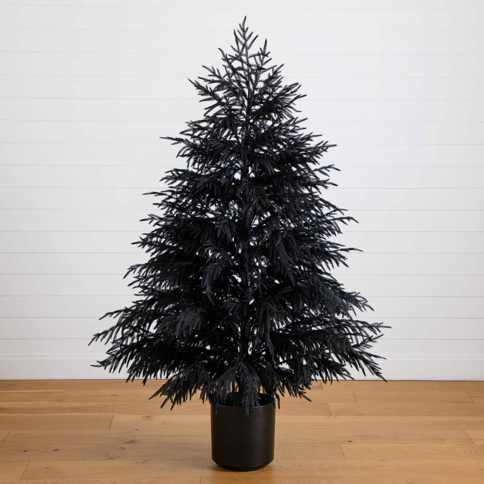 6' Artificial Halloween Real Touch Black Norfolk Pine Christmas