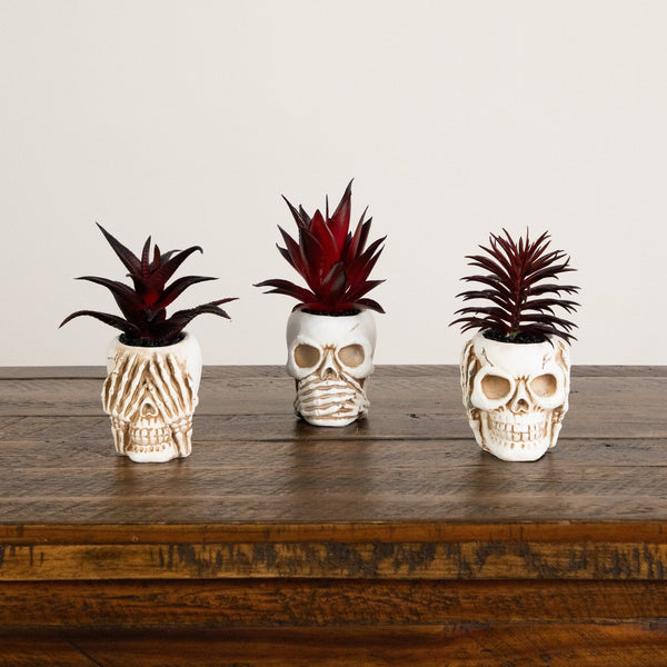 6” Artificial Halloween Speak, Hear, See No Evil Succulent Plant Skull Decor - Set of 3