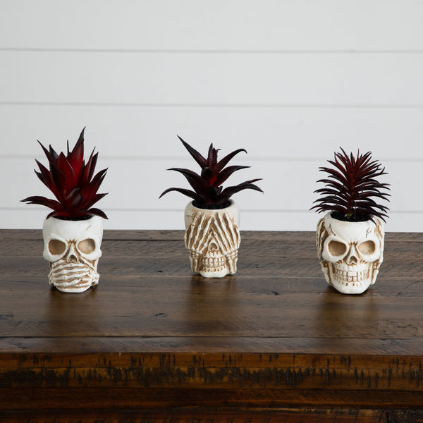 6” Artificial Halloween Speak, Hear, See No Evil Succulent Plant Skull Decor - Set of 3