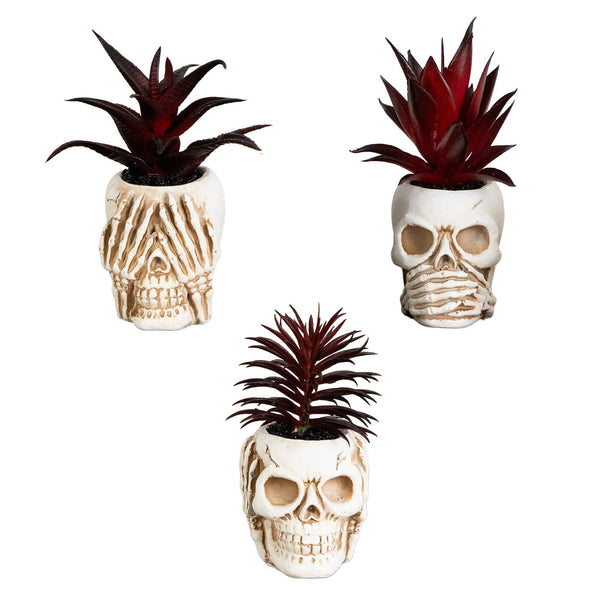 6” Artificial Halloween Speak, Hear, See No Evil Succulent Plant Skull Decor - Set of 3