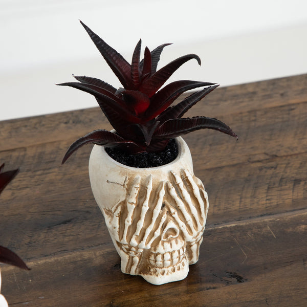 6” Artificial Halloween Speak, Hear, See No Evil Succulent Plant Skull Decor - Set of 3