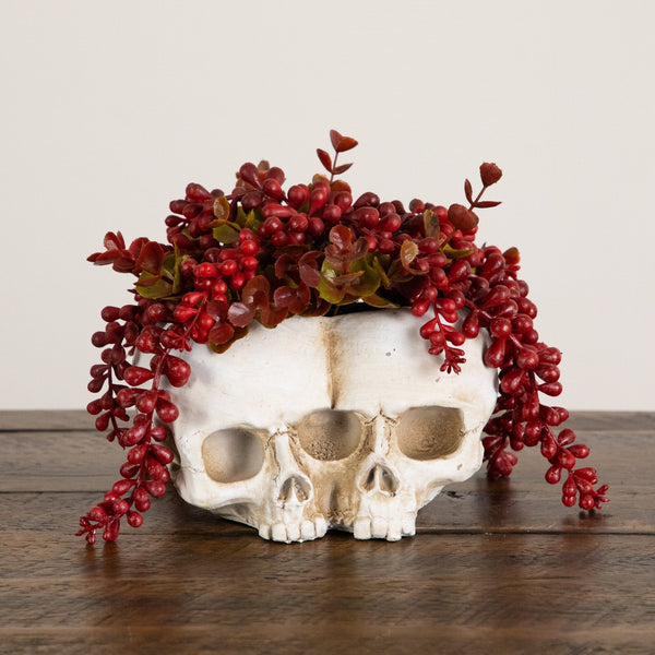 6” Artificial Halloween String of Pearls in Double Skull Planter