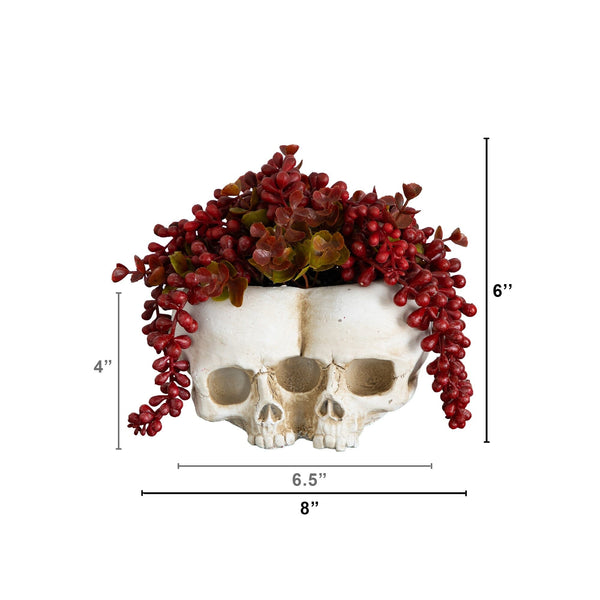 6” Artificial Halloween String of Pearls in Double Skull Planter