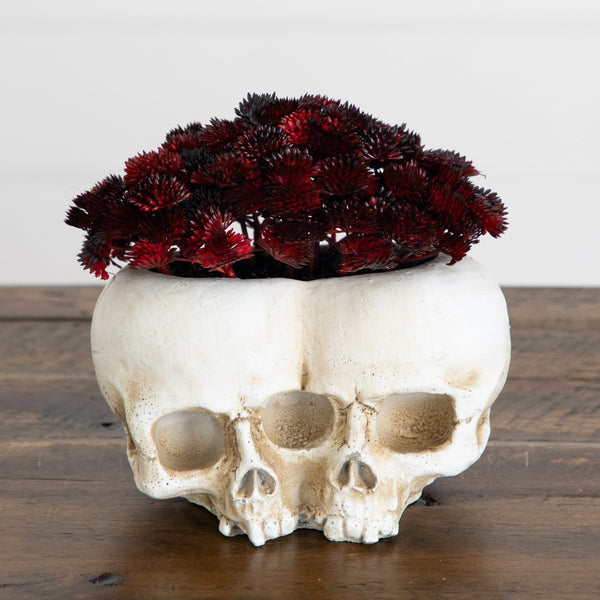 6” Artificial Halloween Succulent Plant in Double Skull Planter