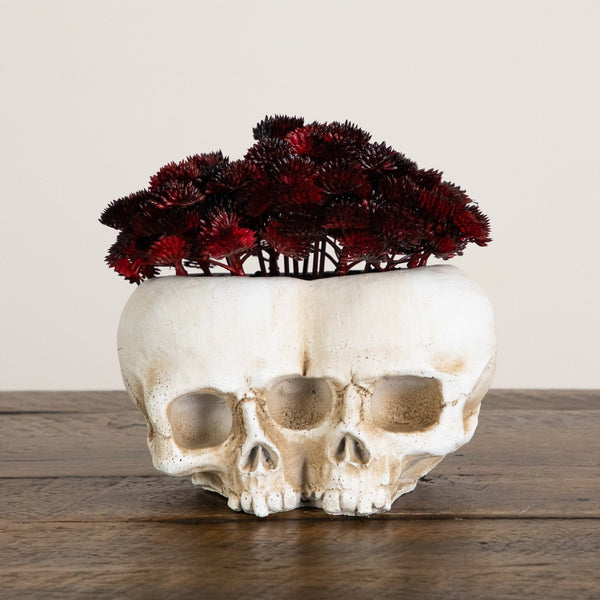 6” Artificial Halloween Succulent Plant in Double Skull Planter