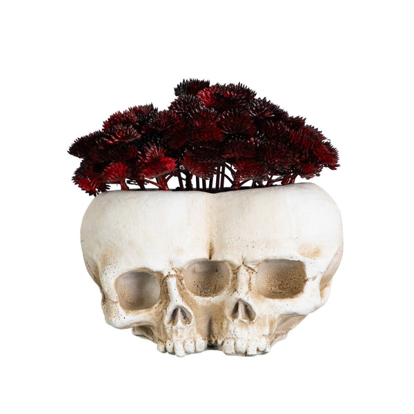 6” Artificial Halloween Succulent Plant in Double Skull Planter