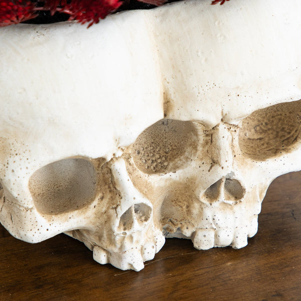 6” Artificial Halloween Succulent Plant in Double Skull Planter