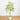 6’ Artificial Maple Tree with White Planter