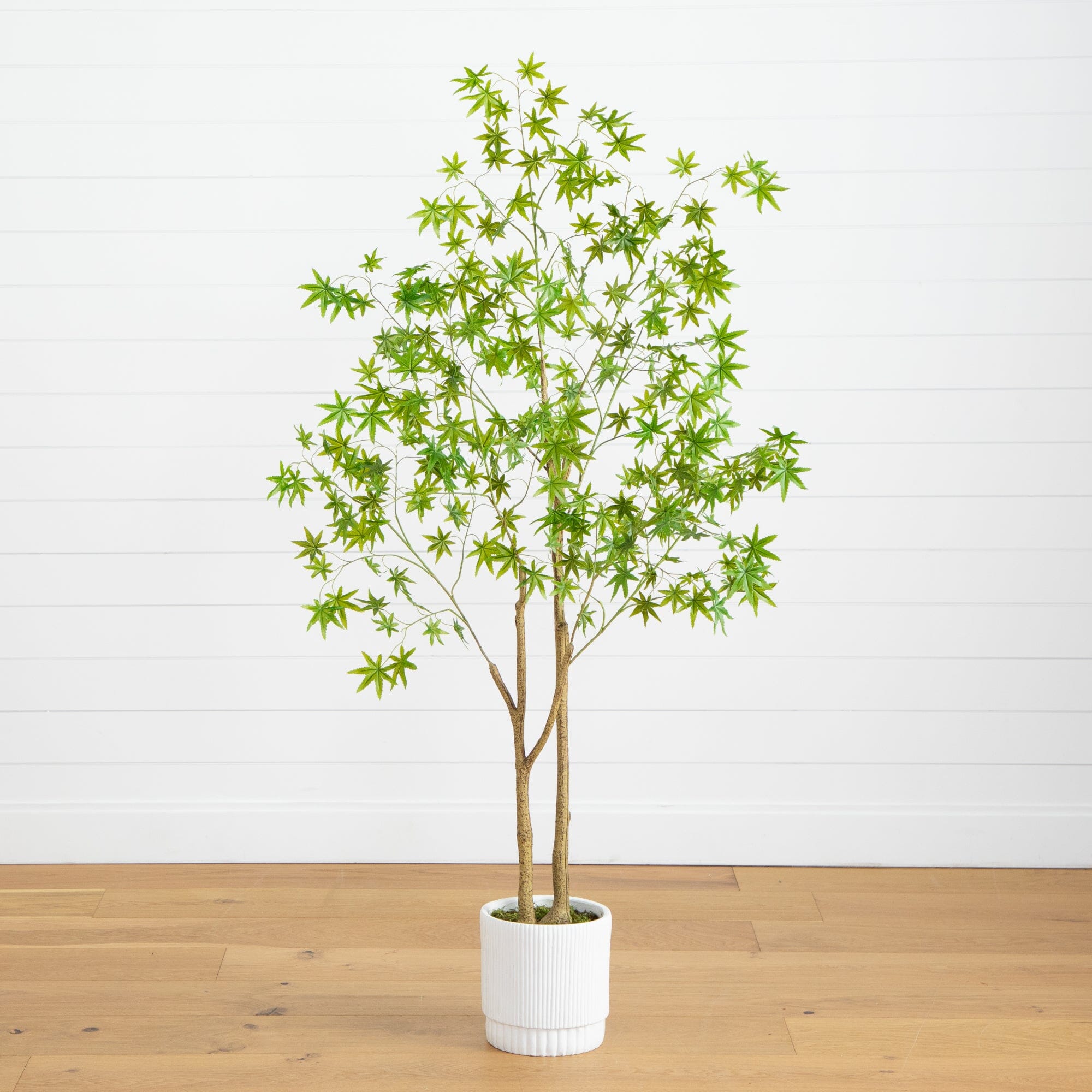 Maple Inside 6’ Artificial Maple Tree with White Planter | Nearly Natural