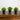 6" Artificial Mini Flowering Plant in Black Pot -Set of 3