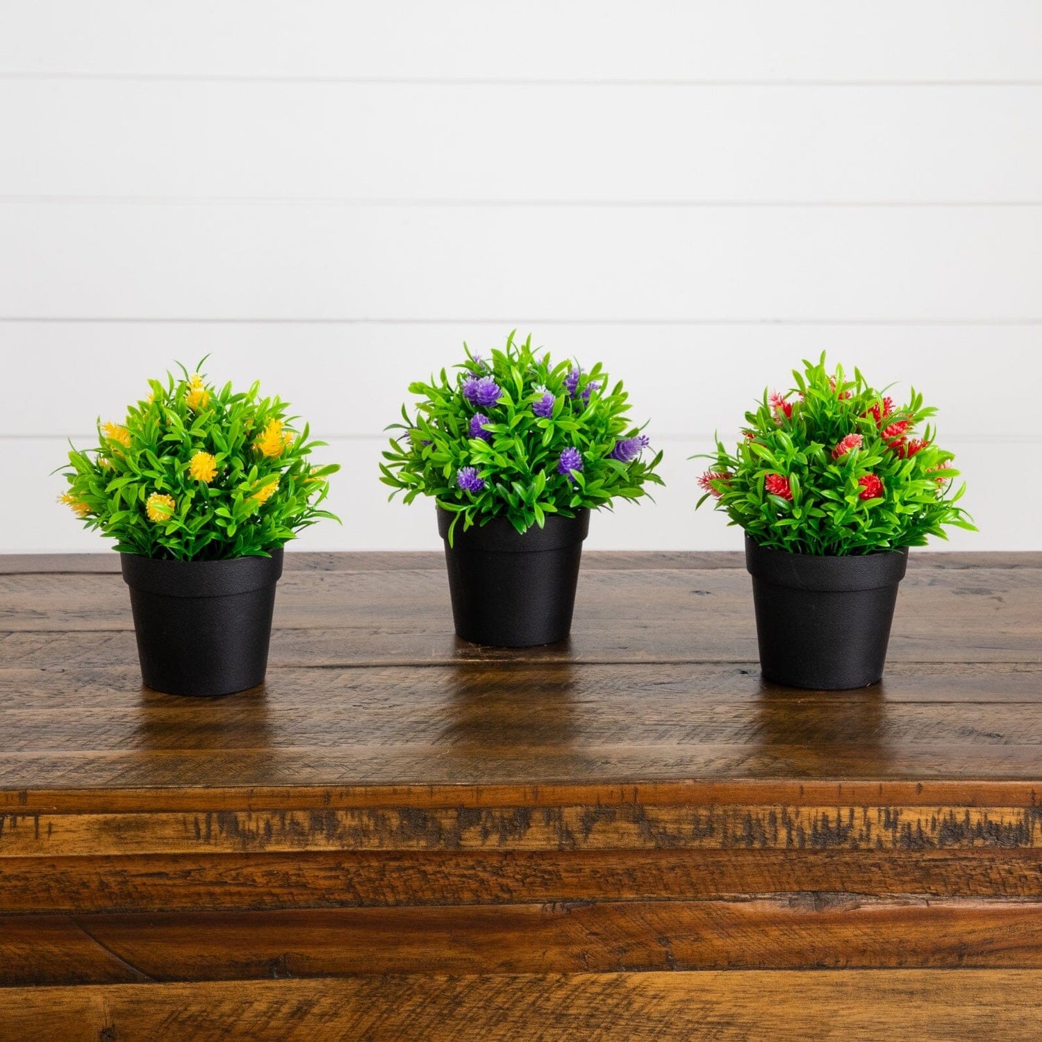 6" Artificial Mini Flowering Plant in Black Pot -Set of 3