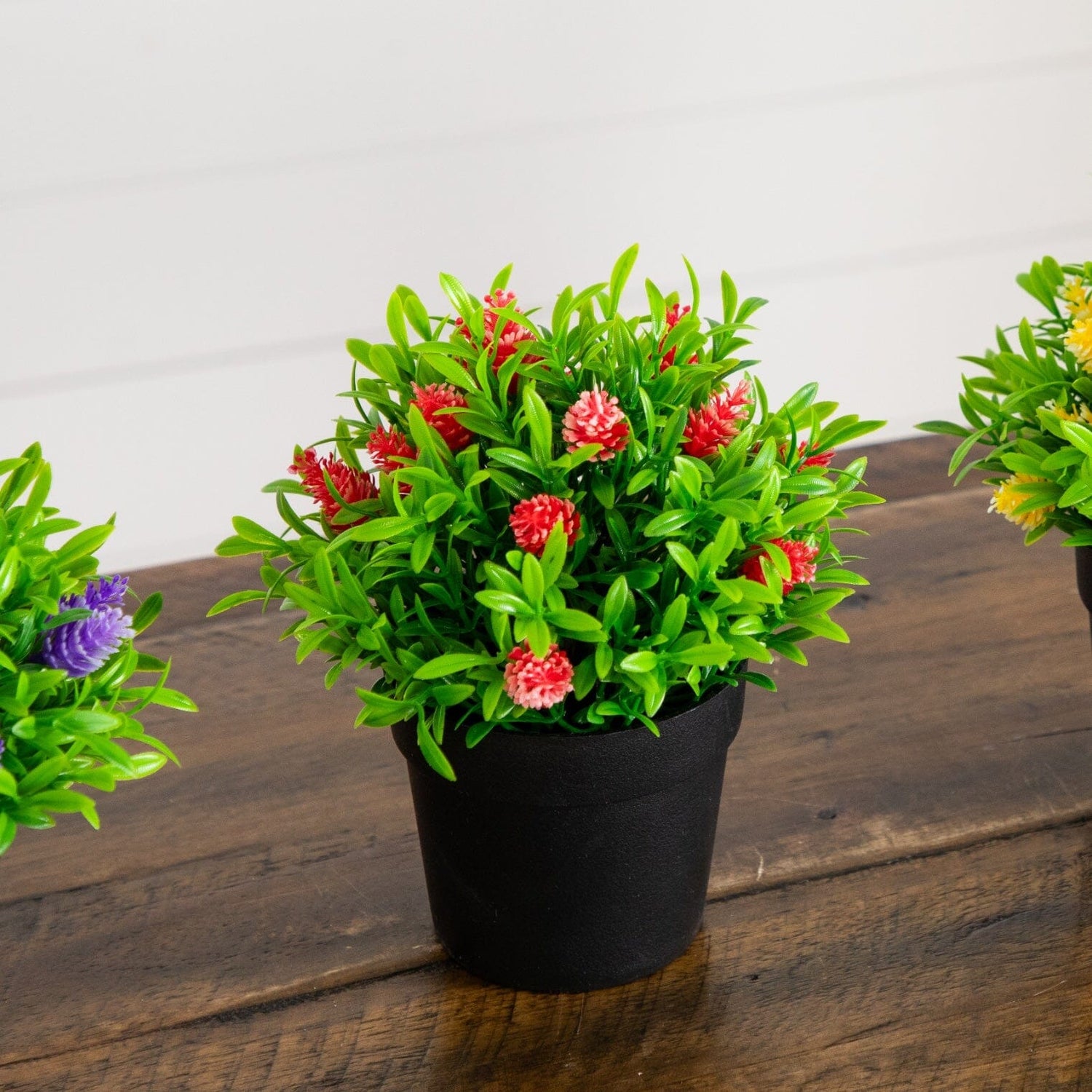 6" Artificial Mini Flowering Plant in Black Pot -Set of 3
