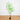 6-ft Artificial Minimalist Enkianthus Tree