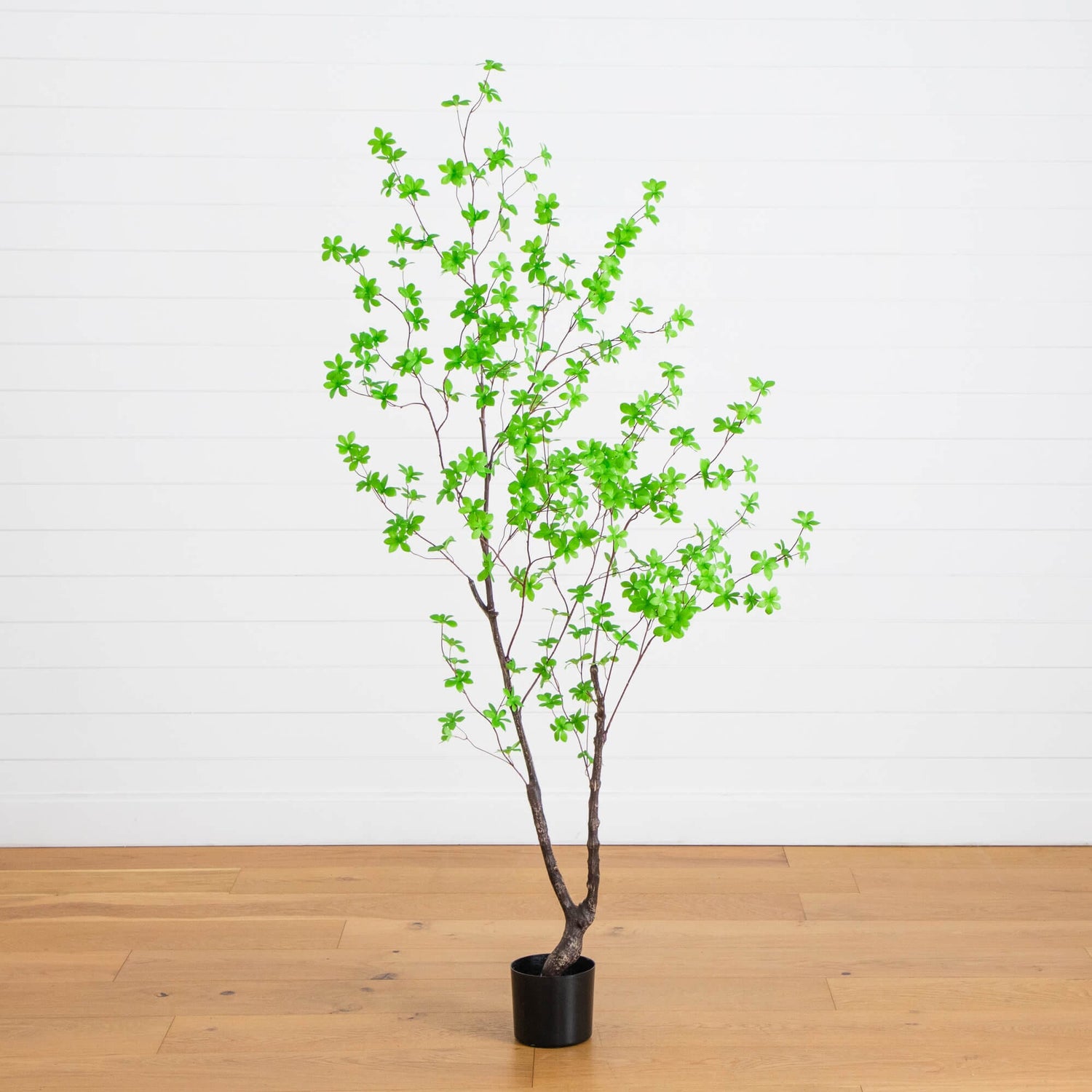 6' Artificial Minimalist Enkianthus Tree