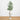 6’ Artificial Minimalist Olive Tree in White Decorative Planter