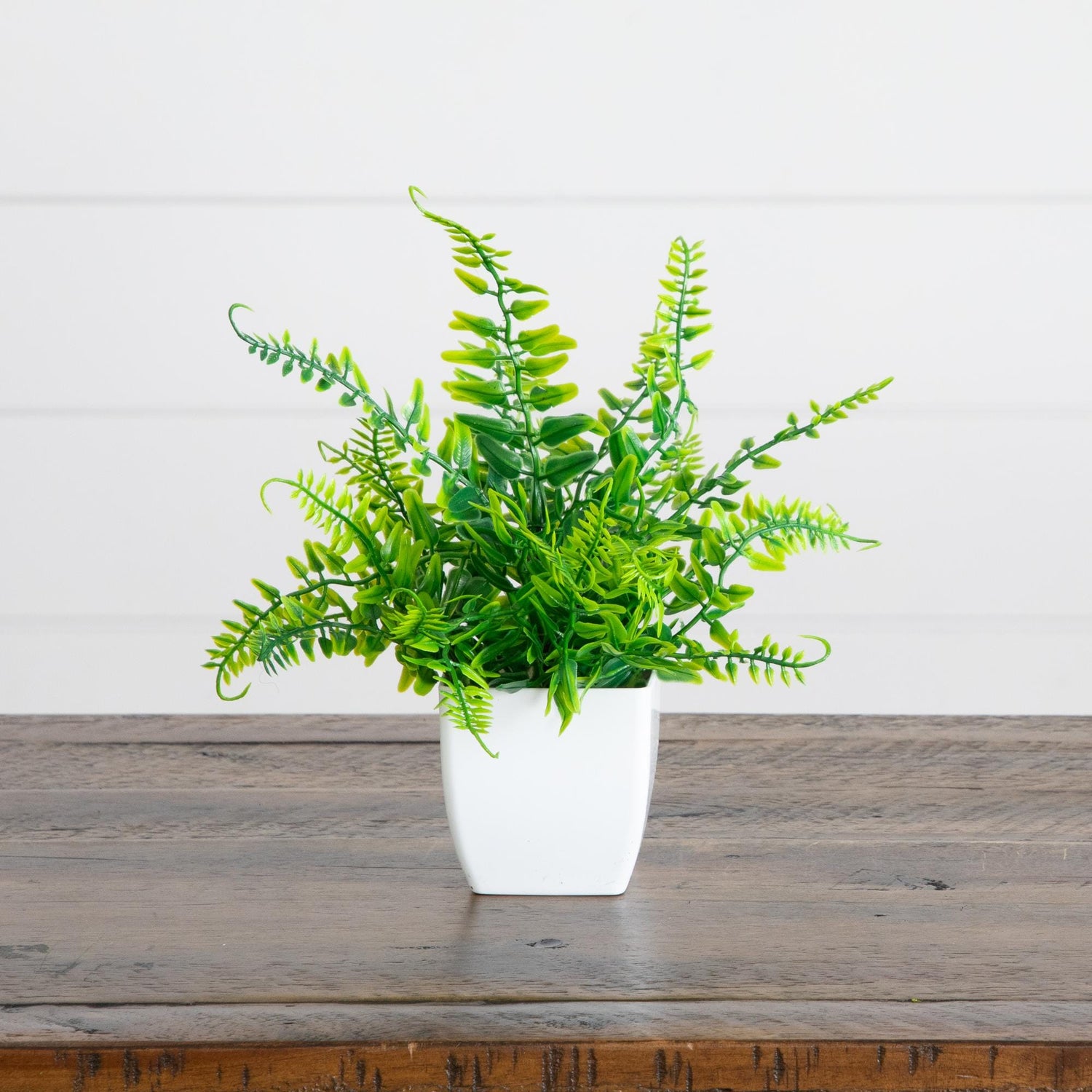 6” Artificial Mixed Botanical Plant in White Square Pot - Set of 4