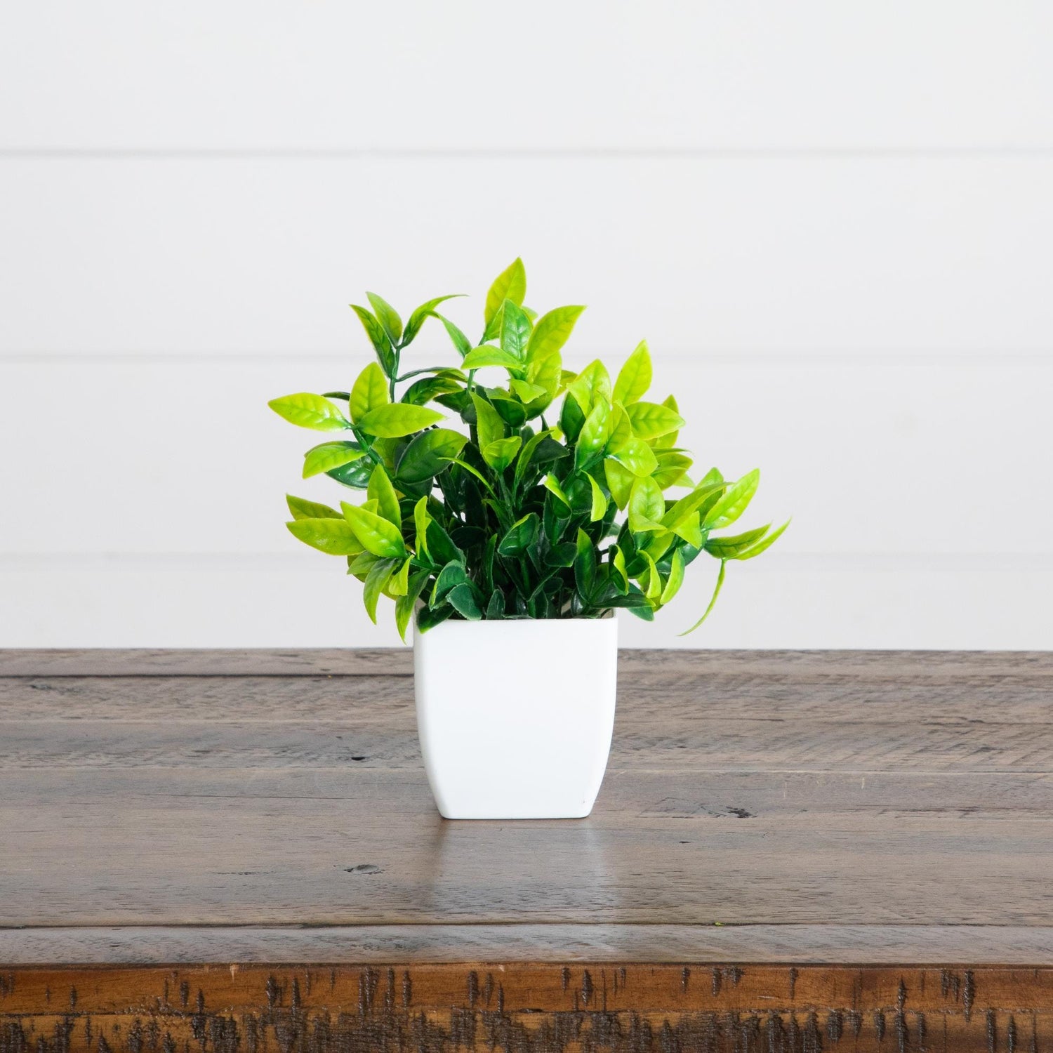 6” Artificial Mixed Botanical Plant in White Square Pot - Set of 4
