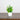 6” Artificial Mixed Botanical Plant in White Square Pot - Set of 4