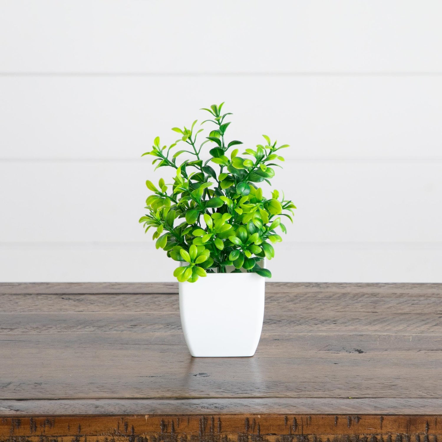 6” Artificial Mixed Botanical Plant in White Square Pot - Set of 4