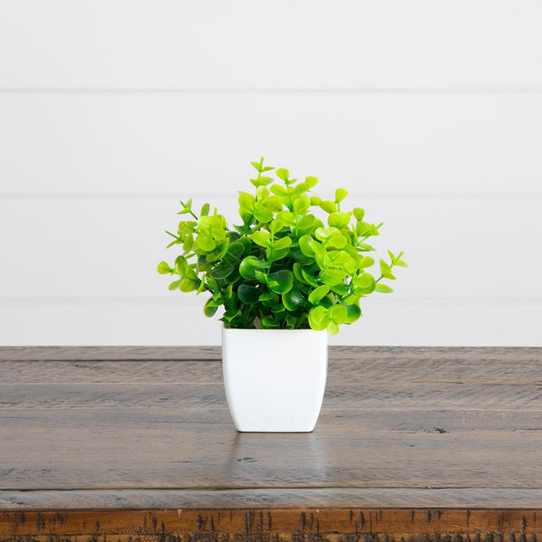 6” Artificial Mixed Botanical Plant in White Square Pot - Set of 4