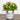 6" Artificial Mixed Button Pom Plant in Rustic Flowers & Garden Planter -Set of 3