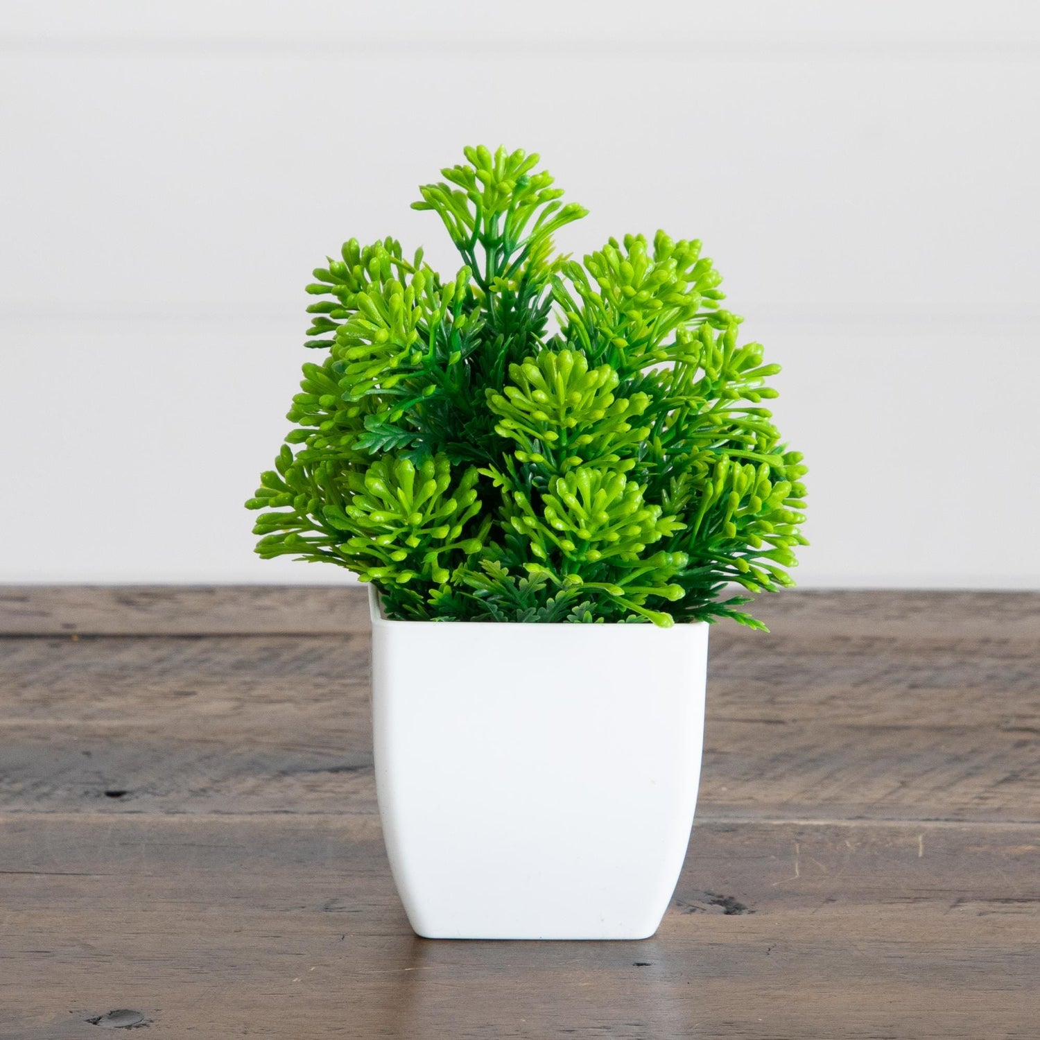 6” Artificial Mixed Succulent in White Square Pot - Set of 3